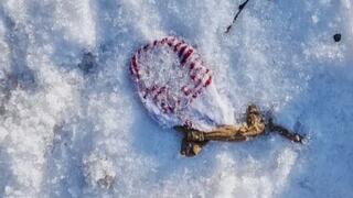 Mini-Snowman crush with Birkenstock Madrid - Barefoot