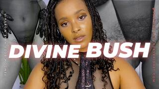 Divine Bush