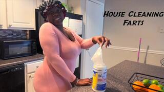HOUSE CLEANING FARTS