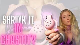 Shrink it in Chastity