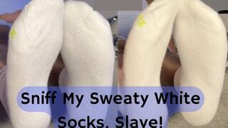 Sniff My Sweaty White Socks, Slave!