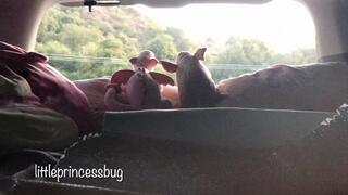 Roadtrip diaper change in parking lot POV