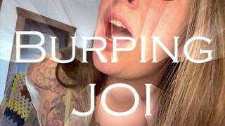 Burping JOI *HD wmv*