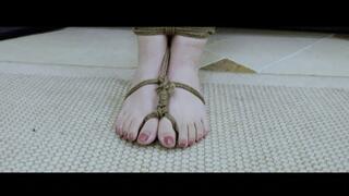 YT2687 Sensitive Neck