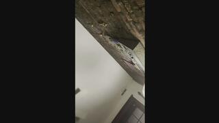 Step Mommy getting oral then pov cuck