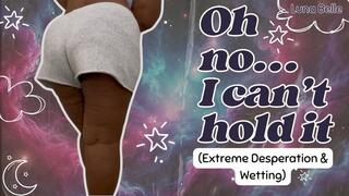 Oh No… I Can’t Hold It! (Extreme Desperation & Wetting)