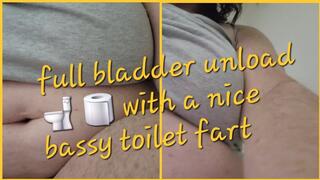 NEVERENDING AM PEE WITH A NICE BASSY TOILET FART TO START THINGS OFF