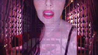 The Velvet Prison - Locked inside your subconscious, imprisoned in servitude