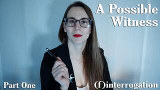 A Possible Witness - Obey Lady Ashley (4K) Finterrogation Part 1 - FemDom FinDom Masturbation Humiliation Blackmail