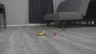 2025 Off to a smashing start