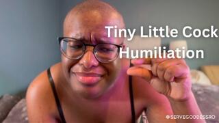 Tiny Little Cock Humiliation - Royal Ro SPH hd mp4 1080p