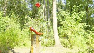 Mesmeriza_compilation_13_Dream_Island_part_01