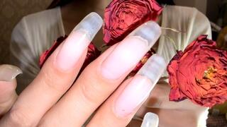 #187 - Shiny long nails beds playing with roses