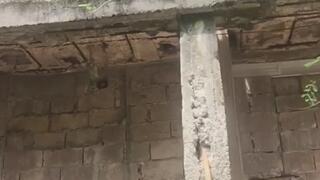 limpiando la parte trasera de mi casa , mi nuevo proyecto para compartir contigo