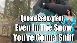 Even In The Snow You’re Gonna Sniff These Stink Feet