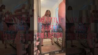 My Little Panty Collector