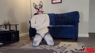 MinxGrrl - Bad PupGirl Gets Straitjacket and Gag! (WMV Format)