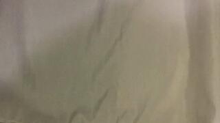 Puma écrase un rouleau de pq