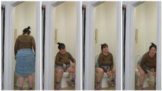 PEE PS Coordinates - GREENLAND TOILET