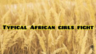 VALENTINES AFRICAN SEXFIGHT