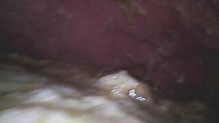 Sloane Digesting Chicken