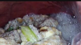 Bailey: Tuna Sandwich Digestion (Full Clip)