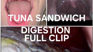 Bailey Tuna Sandwich Digestion (FULL CLIP)