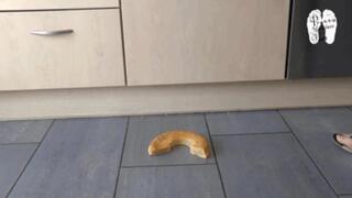 Piece of Cake under Flats