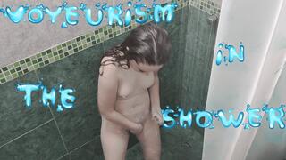 Voyeurism in the shower