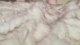 Sexy Dance and Cumming