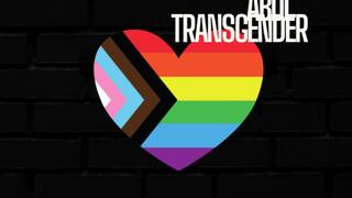 ABDL Male To Female Transformation - Little Transgender Transformation Mind Fuck