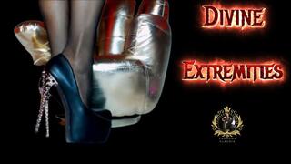 Divine Extremities