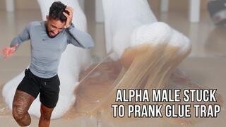 Alpha male stuck to prank glue trap - Lalo Cortez