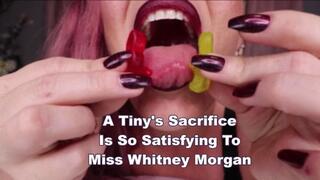 A Tiny's Sacrifice Is So Satisfying To Miss Whitney Morgan - mp4