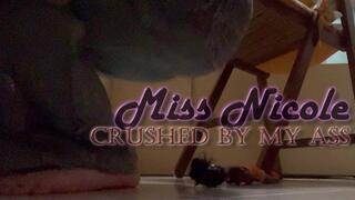 Crushed by My Ass