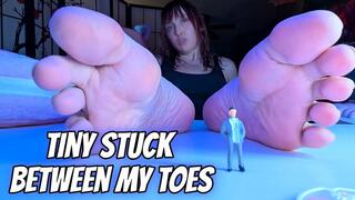 Tiny Stuck Between My Toes