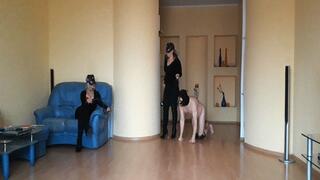 FM session #122 Pony training