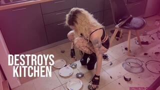 DESTROYS OBJECTS Julia smashes your kitchen