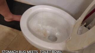 STOMACH BUG MEETS TOILET BOWL