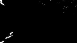 Selena - Burglar Caught