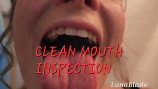 CLEAN MOUTH'S INSPECTION