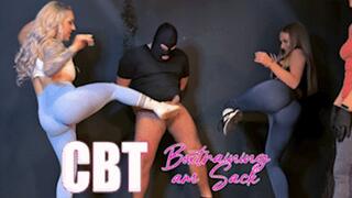CBT - Box training on the balls