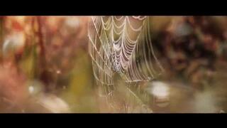 Beating up two Pretty Girls