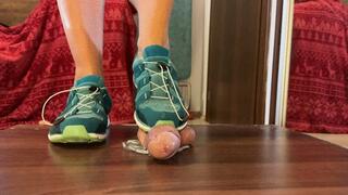 Salomon old green sneakers shoejob