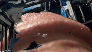 Giant Jay Finds A Bus!