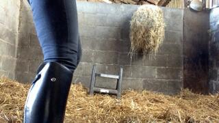 JOI & Ass Worship In The Stable