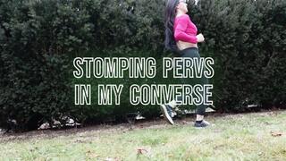 Pervy little bush dweller