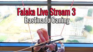 Bastinado Caning - Falaka Live Stream 3