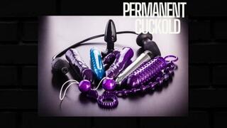Permanent Cuckold Programming BETA - Erotic Audio Mind Fuck
