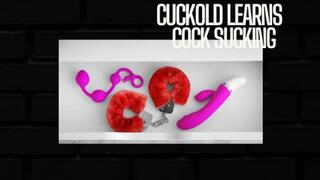 Hot Wife Cuckoldress Train You To Suck A Cock - Erotic Audio Mind Fuck